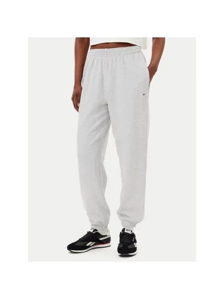 Reebok Спортивні штани Regular Fit сірий