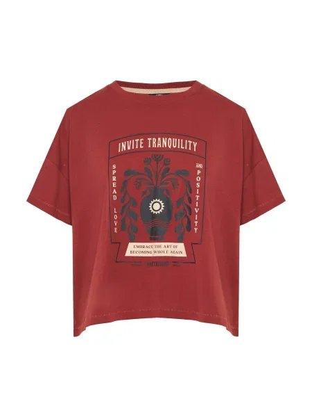 Funky Buddha Tricou maro ruginiu / negru / lână alb