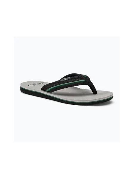 В'єтнамки Quiksilver Molokai Layback Saturn grey сірі