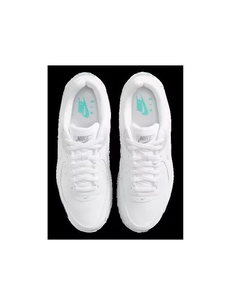 Pantofi Nike