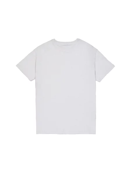 ALPHA INDUSTRIES Tričko svetlosivá / tmavosivá