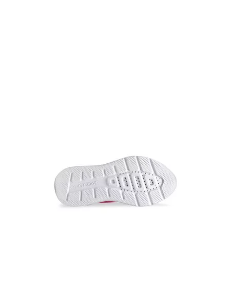 Superge Geox roza