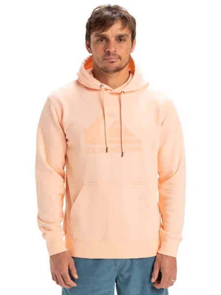 Bluza z kapturem COMP LOGO Mężczyźni różowy