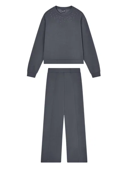 Костюмный спортивный костюм Ea7 Emporio Armani серый