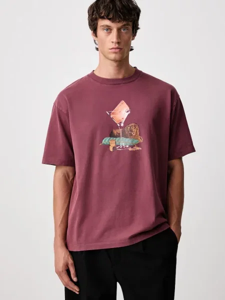 Drôle de Monsieur Glass Lion tricou din pentru bărbați