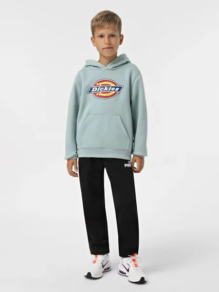 Детское худи Dickies мятного цвета