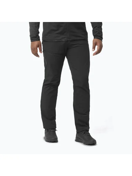 Pantaloni de trekking pentru bărbați Salomon Wayfarer deep black negru