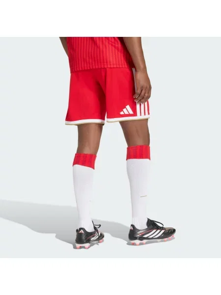 Spodenki podstawowe FC Bayern