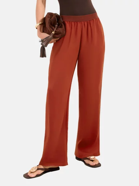 Friends Like These Pantaloni deschis maro