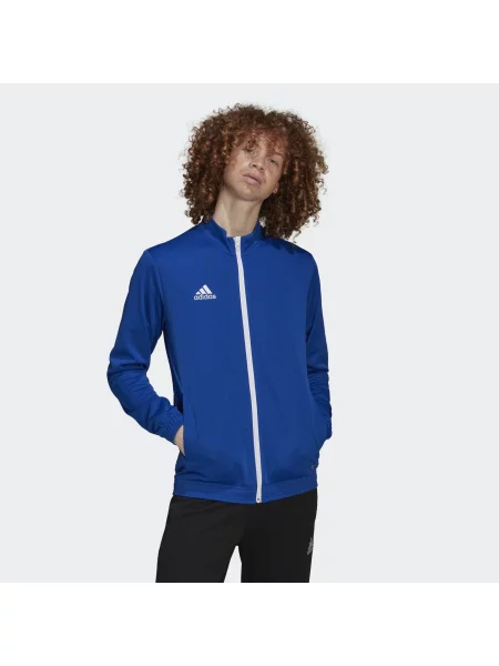 Kurtka Adidas niebieska