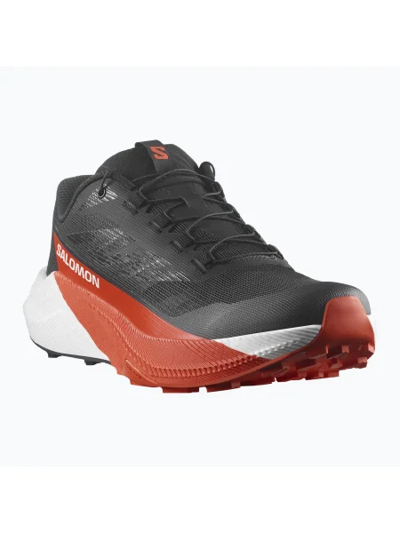 Кросівки для бігу Salomon Pulsar black/white/cherry tomato білі