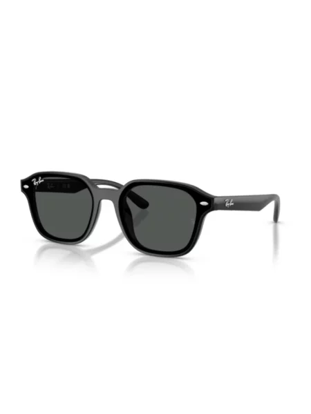 Ray-Ban Okulary Przeciwsłoneczne schwarz czarne