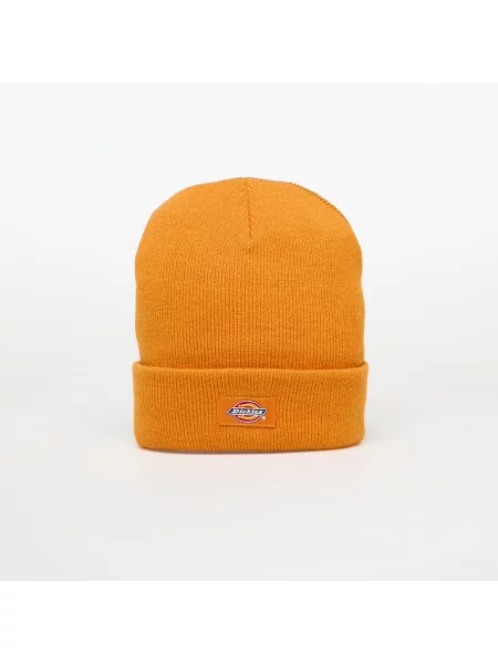 Čepice Dickies