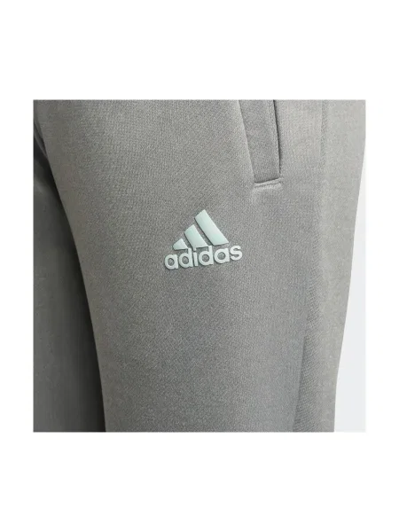 Nohavice Adidas sivá