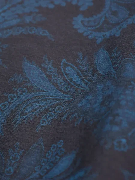 Tricou Etro cu imagine cu model paisley albastru