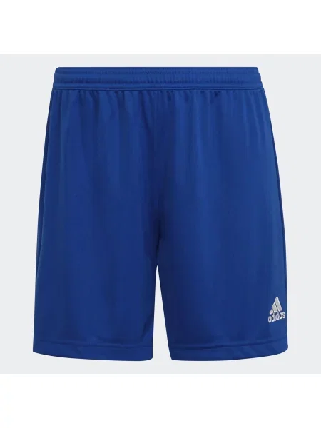 Szorty Adidas niebieskie