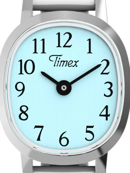 Hodinky Timex modrá