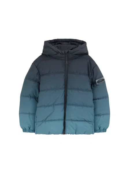WE Fashion Geacă de iarnă albastru porumbel / metalic gri