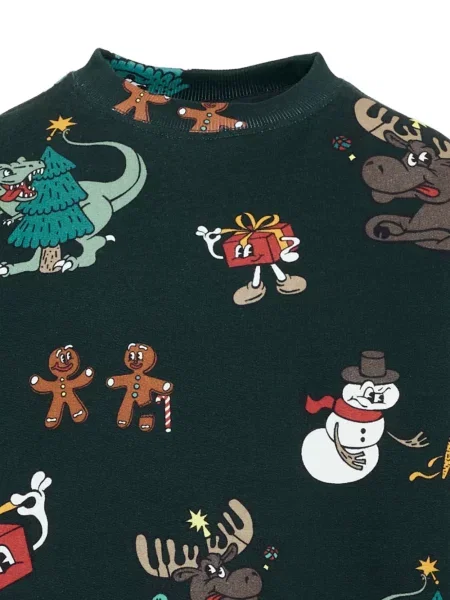 Sweter dziecięcy Molo zielony