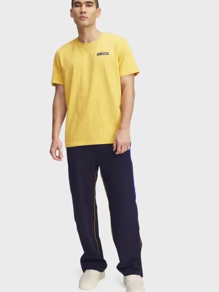 Брюки Under Armour в полоску синие