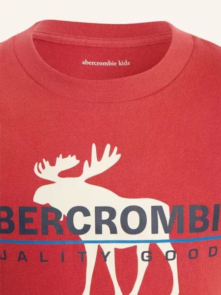 Abercrombie & Fitch T-Shirt rot czarna