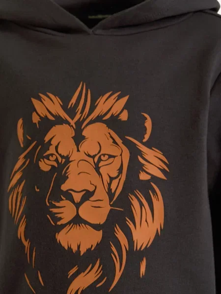 Koko Noko Bluza Z Kapturem grau
