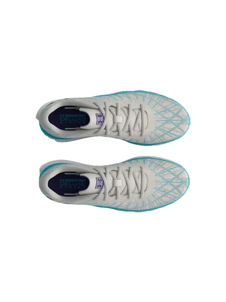 Pantofi Under Armour gri