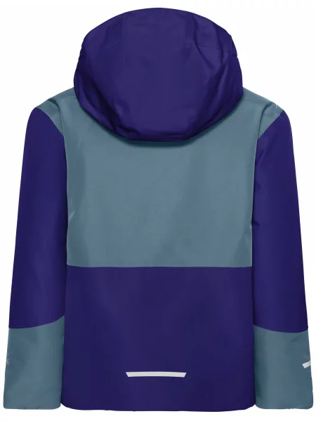 Лыжная куртка Jack Wolfskin синяя