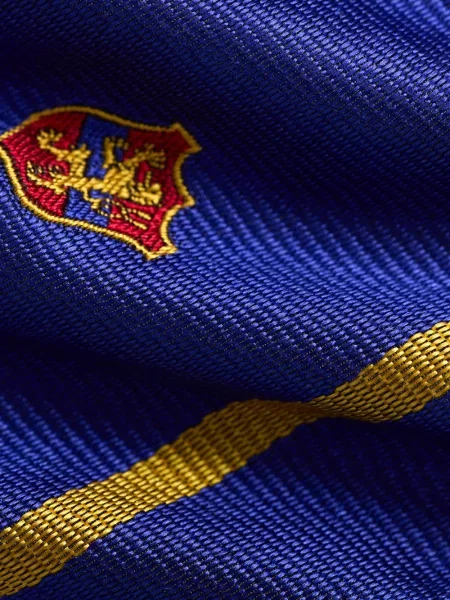 Ριγέ καμβάς κασκόλ Polo Ralph Lauren με κέντημα μπλε