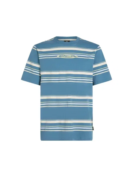 O'NEILL Tričko / mix barev modrá