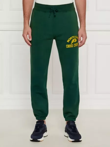 POLO RALPH LAUREN Pantaloni | Oversize fit verde