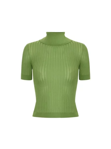 Dzianinowy przezroczysty sweter Elisabetta Franchi zielony