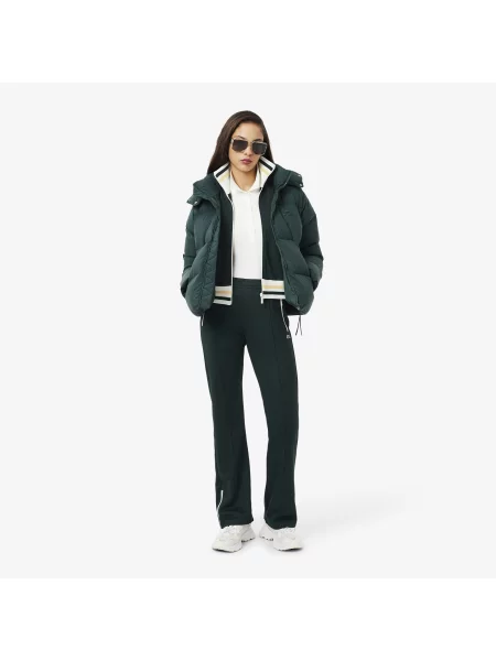 Lacoste Bluza Na Z Pasiastym Akcentem zielona