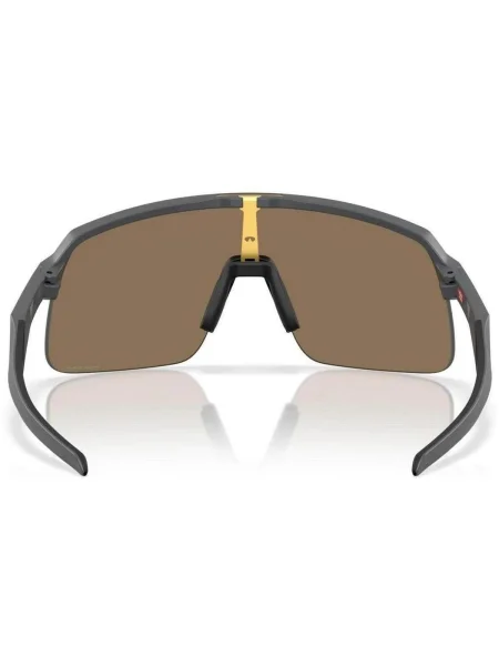 Ceas Oakley gri