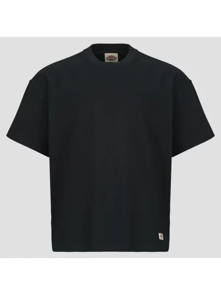 Izolat tricou Dickies negru