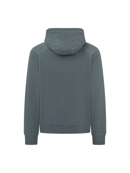 Bluza z kapturem The North Face szara
