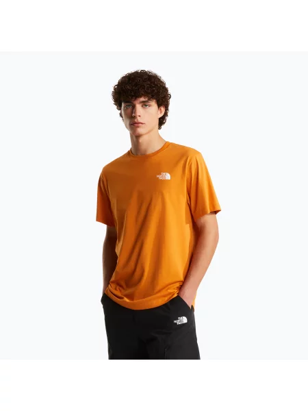Tricou pentru bărbați The North Face Evolution Box NSE dust orange portocaliu