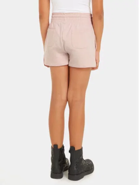 Calvin Klein Jeans Sportiniai šortai Hero Logo rožinė