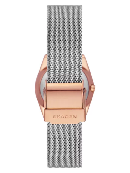 Часы Skagen