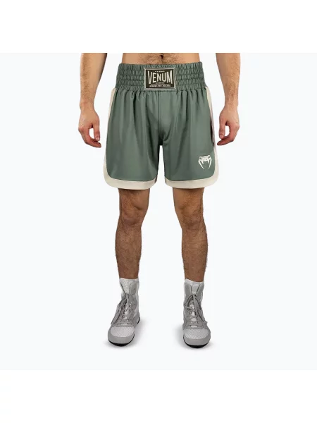 Классические спортивные шорты Venum зеленые