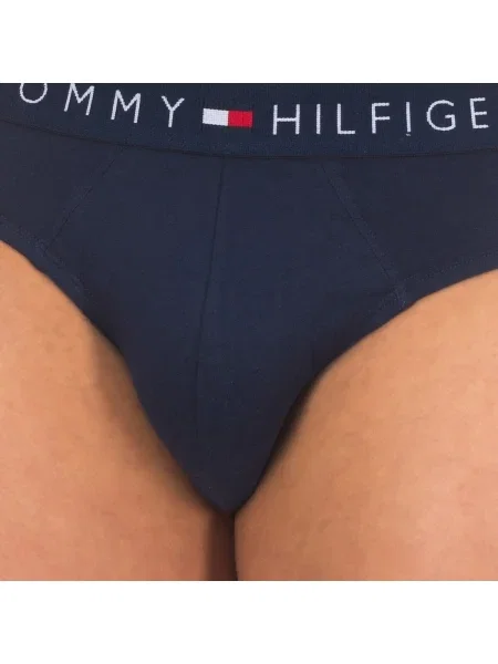 Chiloți Tommy Hilfiger albastru