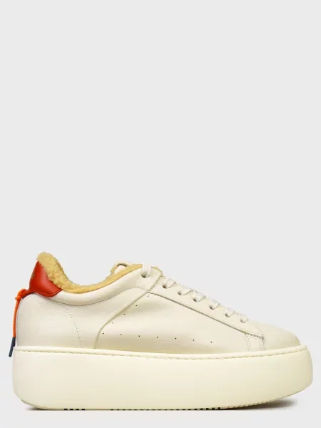 Кеди Barracuda сірі