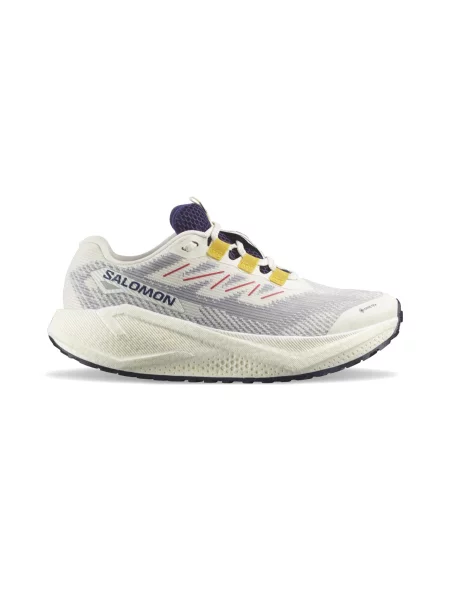 Salomon Aero Blaze 3 GRVL GTX Mężczyźni Buty sportowe Salomon Krem Size: