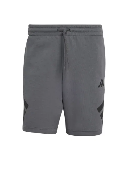 ADIDAS SPORTSWEAR Sportske hlače Future Icons / crna siva