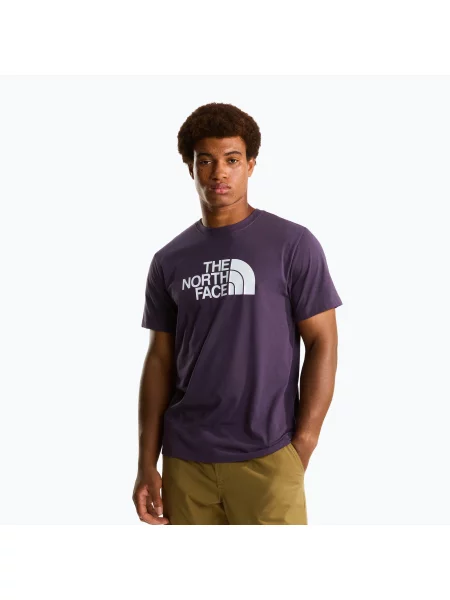 Мъжка тениска The North Face Evolution Half Dome endless dusk виолетово