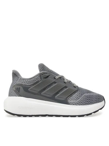 Sneakers adidas gri