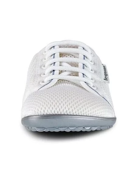 Pantofi Leguano gri