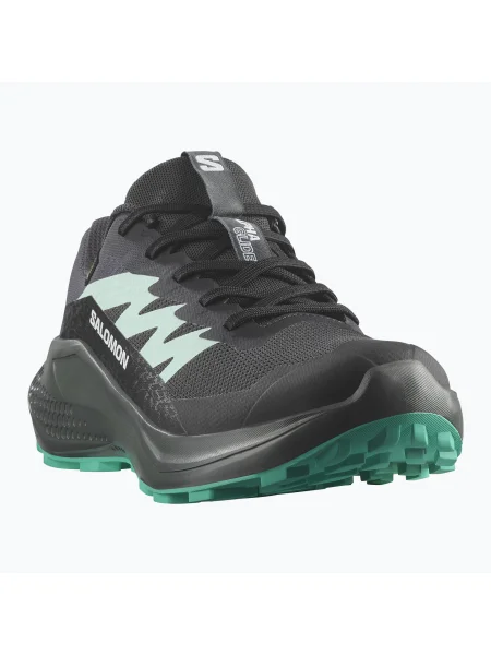 Кросівки для бігу Salomon Alphaglide GTX hantom/urban chic/waterfall