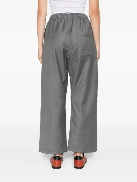 Pantaloni Sofie D'hoore de lână gri