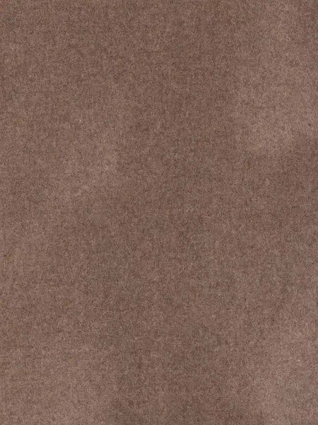 Fular A.p.c. cu broderie maro